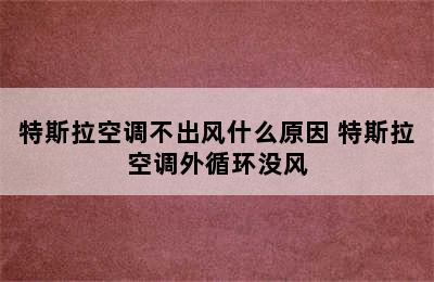 特斯拉空调不出风什么原因 特斯拉空调外循环没风